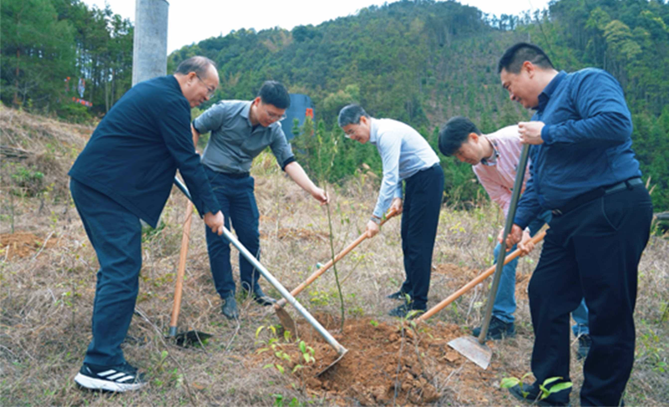 广东省基督教两会赴连南开展植树和助力乡村振兴捐赠活动
